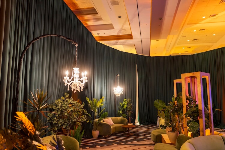 Pipe & Drape